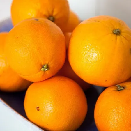 Alfama Sunny & Typical Apartment, By Timecooler * Lisboa